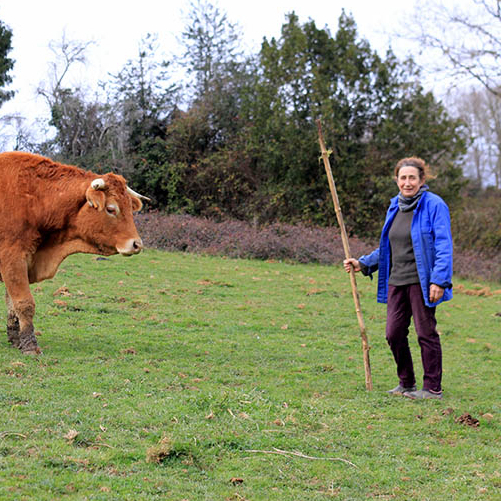 Le ferme Sarraméa