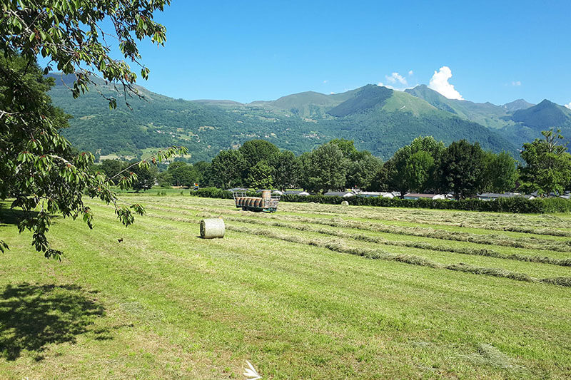 Alti Pyrénées Bio