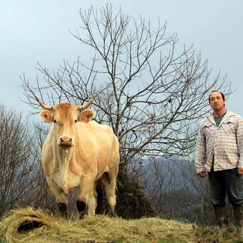 ferme-toffoli-08