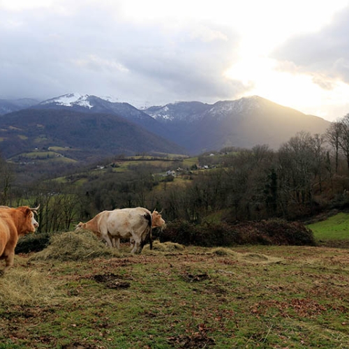 ferme-toffoli-09